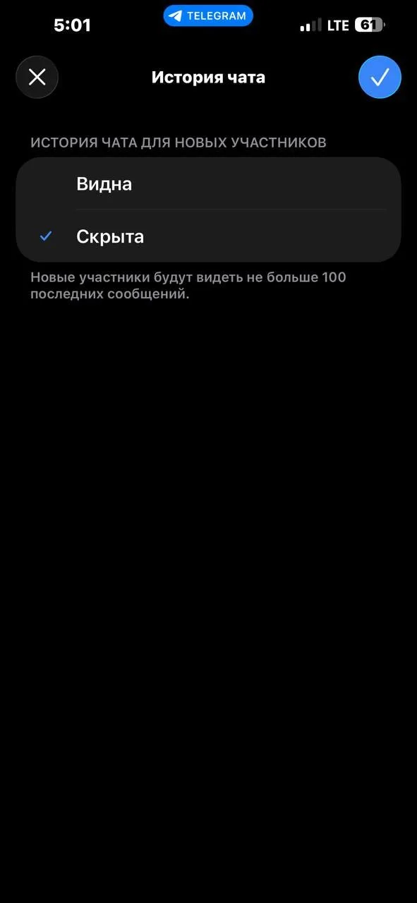 Настройка «История чата для новых участников» в Telegram: выбрано «Скрыта», новые участники увидят не больше 100 последних сообщений
