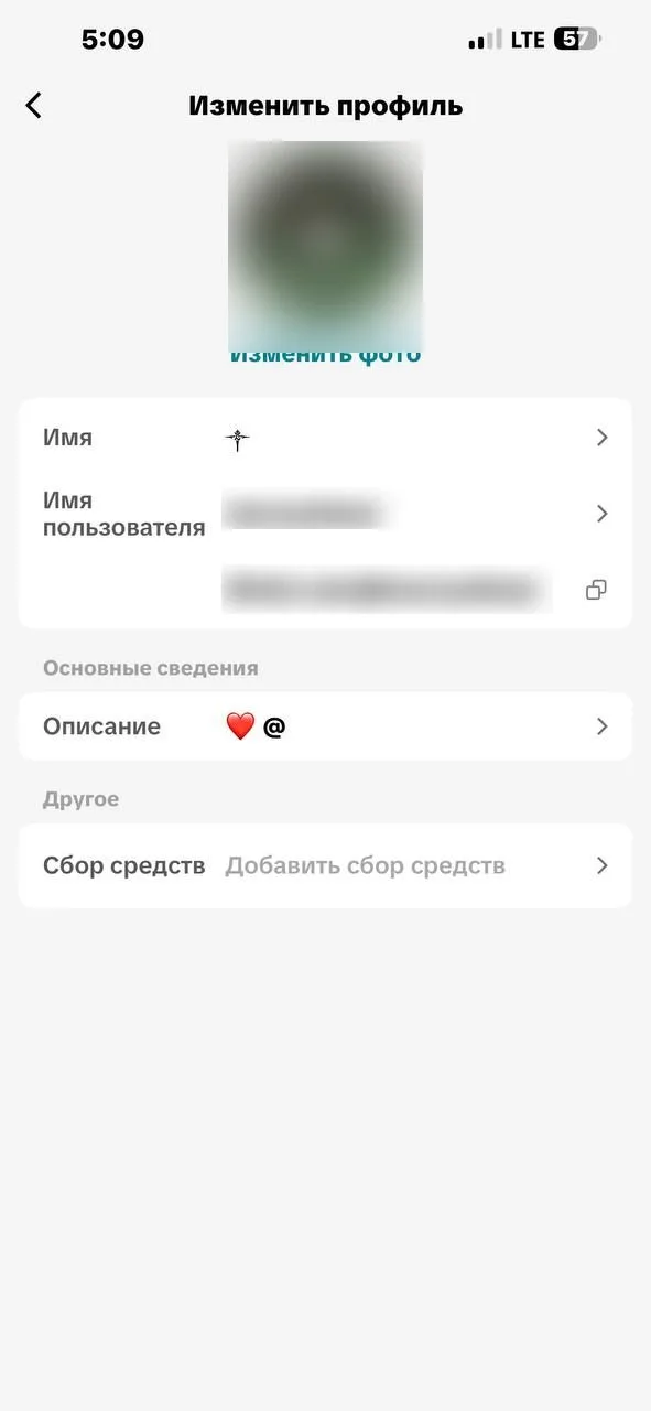 Экран «Изменить профиль» в TikTok: поле «Имя» с одним символом, «Имя пользователя», ссылка tiktok.com/@…, описание и сбор средств
